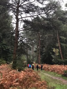 eastbourne college curricular enrichment dofe forest