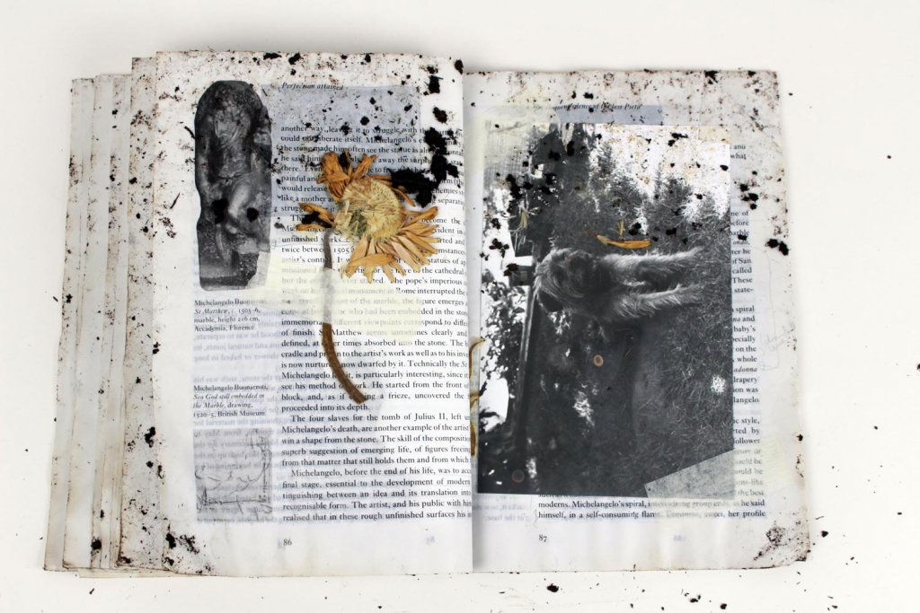 tess donnelly flaws and imperfection