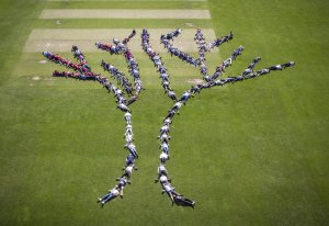 eastbourne college team building day 2019 tree